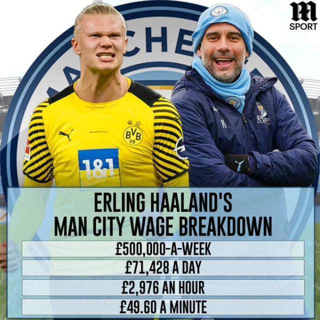 Hoya